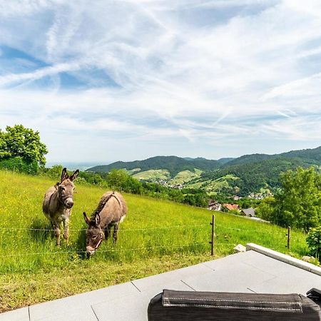 Merzel'S Schone Aussicht Бюлерталь Екстер'єр фото