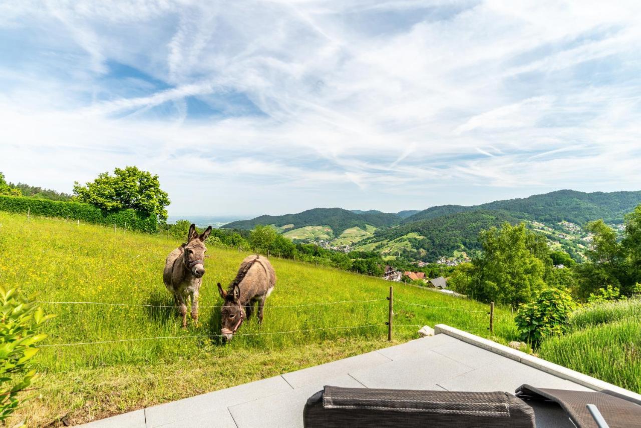 Merzel'S Schone Aussicht Бюлерталь Екстер'єр фото